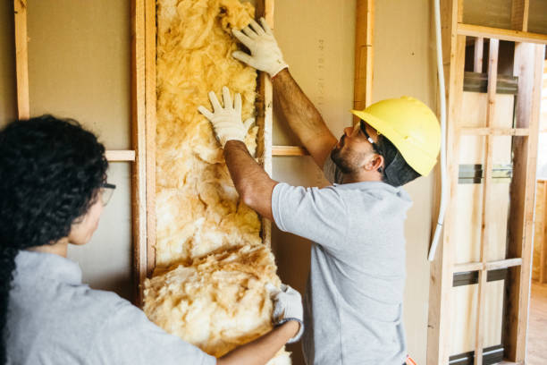 Types of Insulation We Offer in Millport, AL